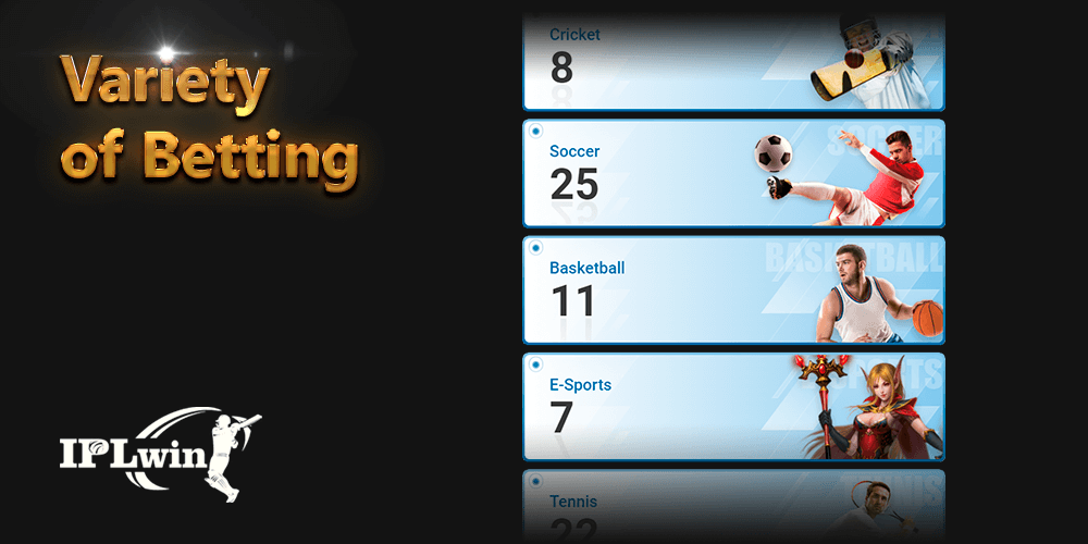 metawin