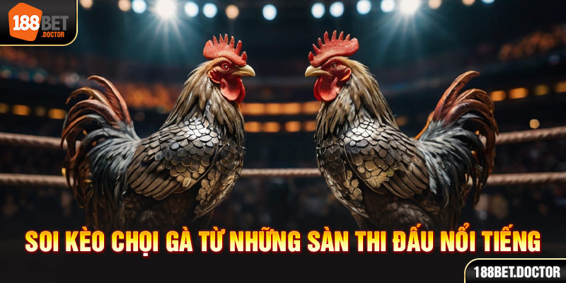 Betboom entrar